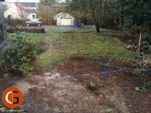 Septic Tank and Drain Field